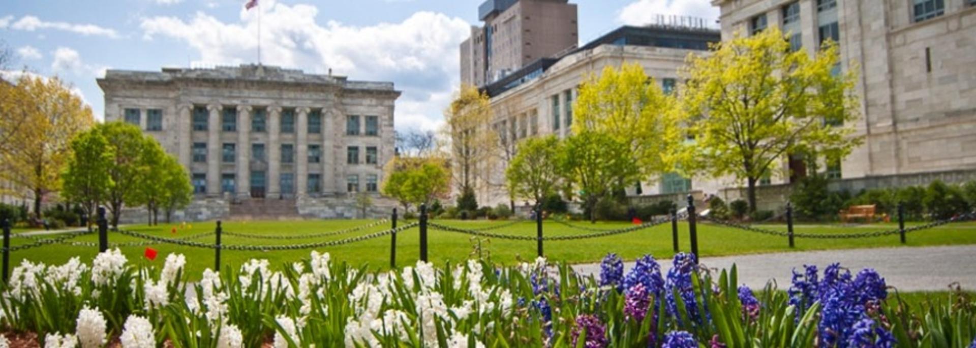 Gordon Hall quadrangle from the view of Longwood Ave on a clear spring day with flowers in bloom.